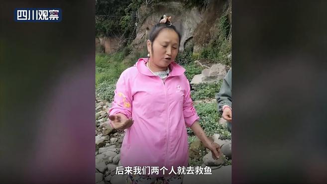 大佛脚下惊现巨型野生娃娃鱼,脚掌跟人手一般大