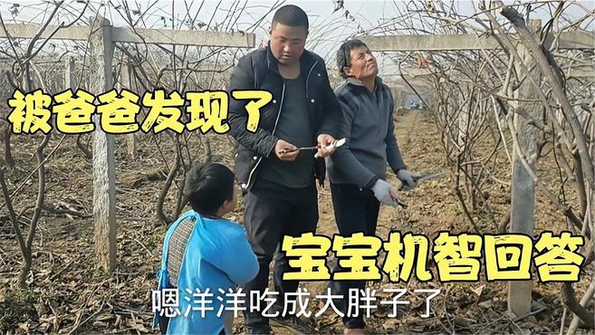两岁宝宝去地里找爷爷,被爸爸发现偷吃鸡蛋,宝宝的回答太逗了