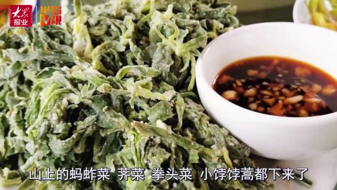 半岛V视|清明小假期,带火农家“野菜”宴!赏花春游,地铁一站直达