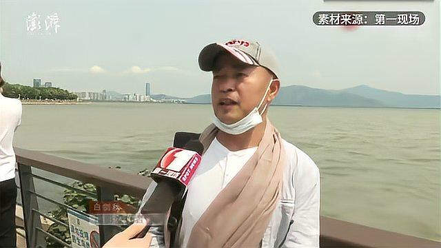 深圳湾现“鱼群跳跃踏浪而舞”景观