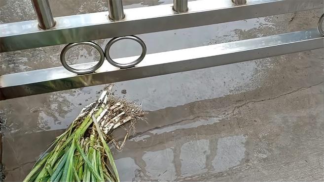 农村媳妇刚回家,谁给家门口放的菜