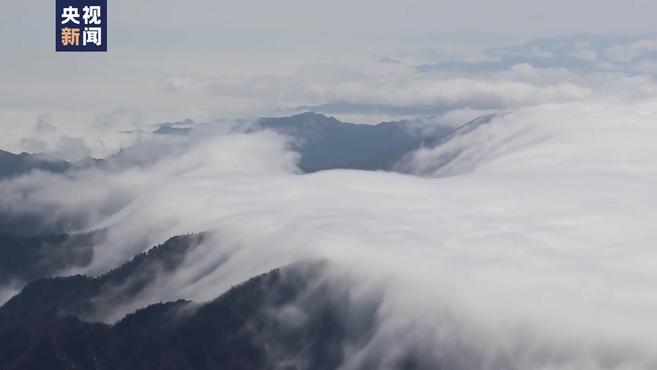 #最美风景在路上# [期待] 巍巍太白,苍茫云海。在陕西宝鸡,秦岭山脉最高峰太白山出现“云