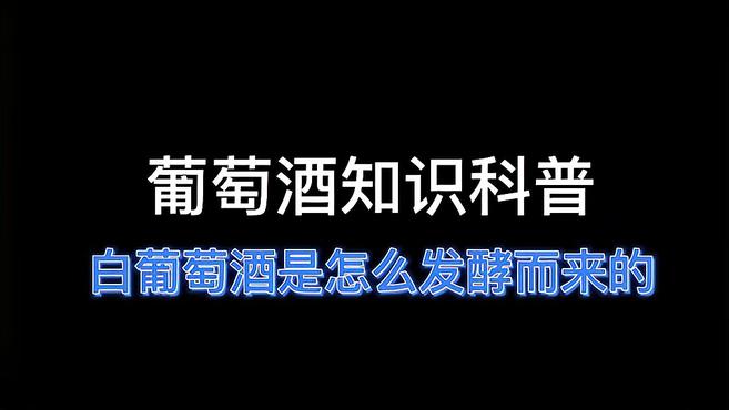 葡萄酒知识科普之白葡萄酒怎么发酵而来呢