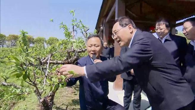 [图]上海市实施乡村振兴战略现场推进会在金山召开