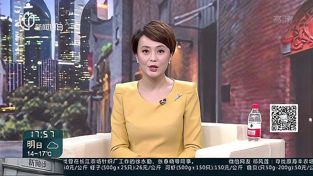 书法篆刻公益展览 传承海派艺术精神