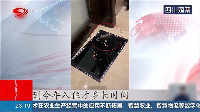 盒马吐司里跑出一只活老鼠,大品牌都这样,让我们怎么放心?