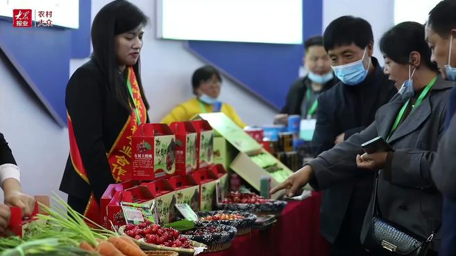 37个展区、1187个展位!第九届兰陵(苍山)蔬菜产业博览会