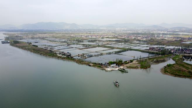杭州有个钓鱼天堂,无桥孤岛上有5千亩鱼塘,岛民坐轮渡打工