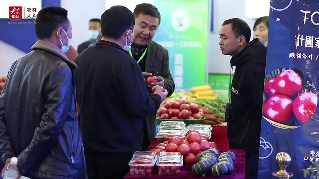 蔬菜产业盛会是啥样?带你“云”游兰陵菜博会