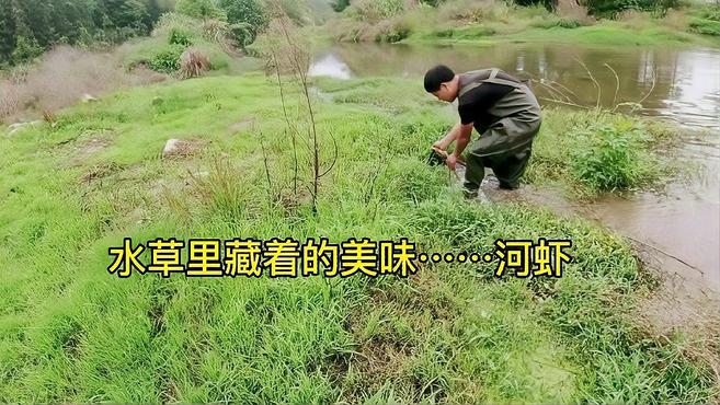 拿着小时候抓鱼的神器,来小溪寻找一种美味,城市里有钱都买不到