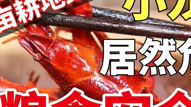 小龙虾影响中国粮食安全?18亿亩耕地红线能否守得住?