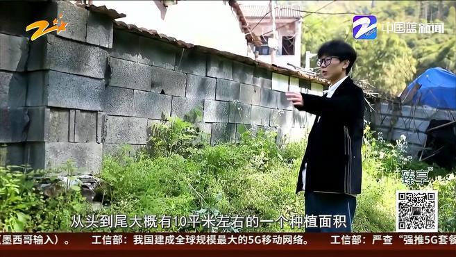 种植罂粟治鸡瘟?农妇摊上大事了