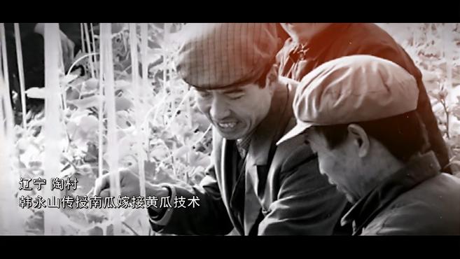 骄傲!《寿光蔬菜一分钟》宣传片重磅发布!