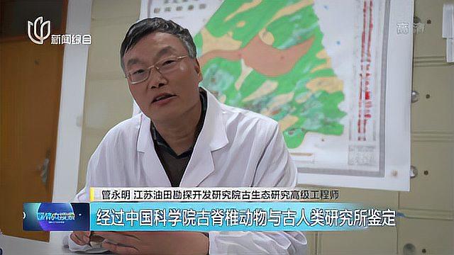石油开采玩“跨界” 发现6000万年前鱼化石