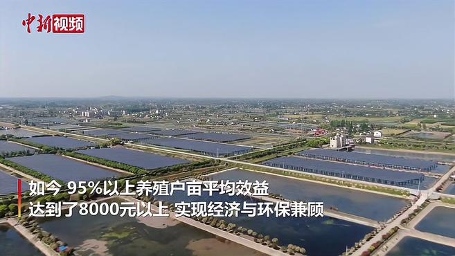 「乡村振兴」鱼塘不养鱼!湖南大通湖种出“黄金草”