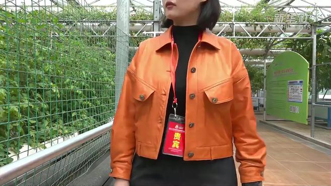 VLOG|寿光蔬菜的七十二变