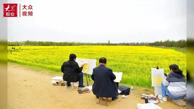 视频|岱岳区大汶口镇:踏青正当时,莫负好春光