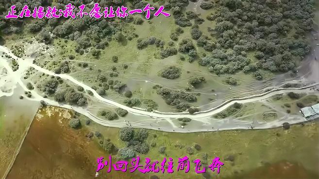 《我不愿让你一个人》《大鱼》《下马酒之歌》《有缘无份》