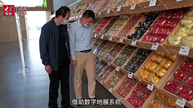 7大类,4000多个蔬菜品种集中亮相