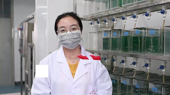 厉害了!让斑马鱼吃中药寻找处方秘密