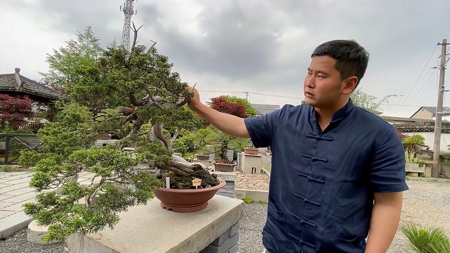 杭州大哥卖掉市区房子,进村租地与盆景为友,妻子相伴入坑