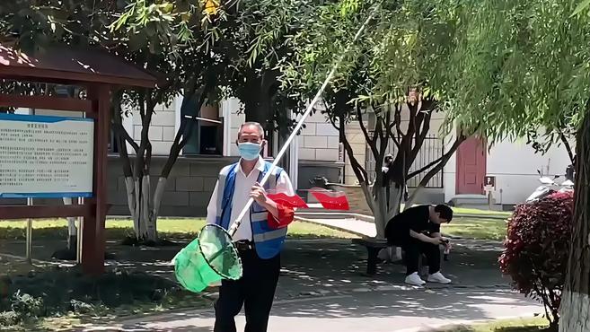 菱角湖公园,护湖志愿者救出一条“六角恐龙鱼”