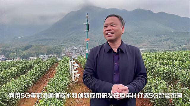 [图]当茶园用上5G 茶香再添“科技味”