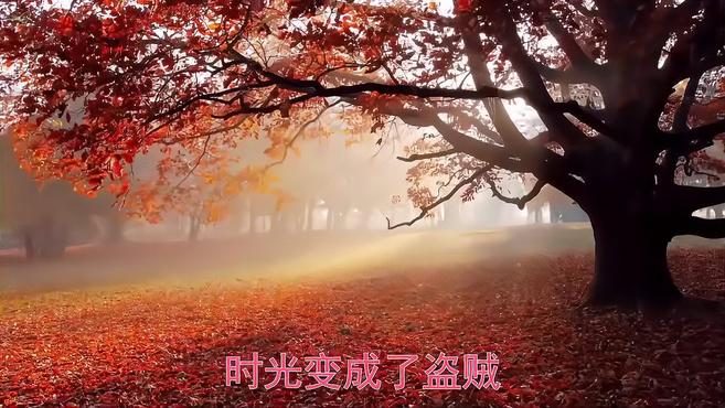 《夜夜夜漫长》《谁》《醉》《花桥流水》《醉倾城》《喝醉的鱼》