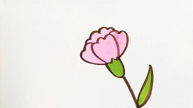 儿歌多多儿童简笔画 康乃馨 母亲节送给妈妈一朵美丽的康乃馨