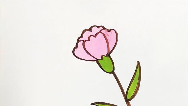 多多学画画 第108集 儿童简笔画 康乃馨 母亲节学画美丽的康乃馨