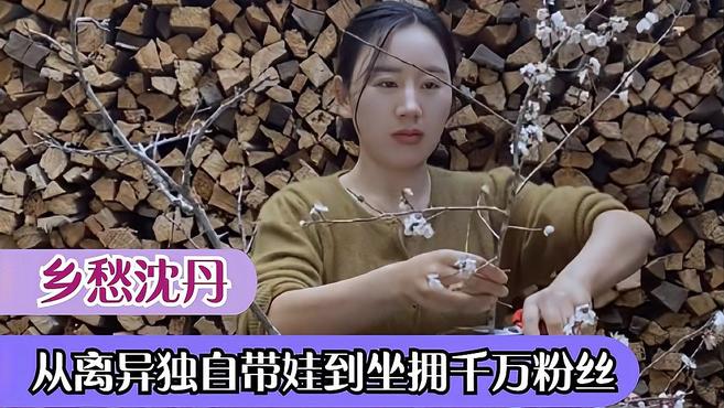 [图]乡愁沈丹:离异女人独自带娃到坐拥千亩茶山,她究竟如何蜕变的?