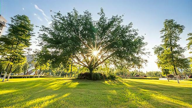 [图]成都中医药大学宣传片