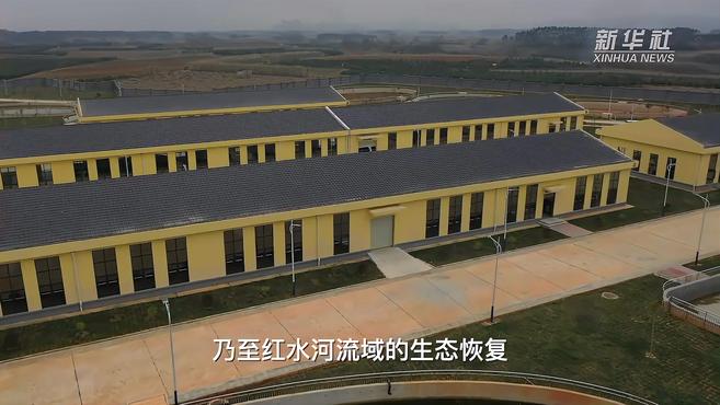 珠江上的“生态鱼道”