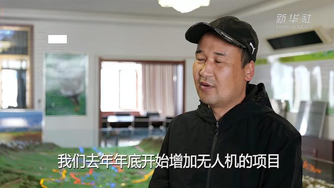 我国最大的天鹅栖息地天鹅宝宝破壳出生