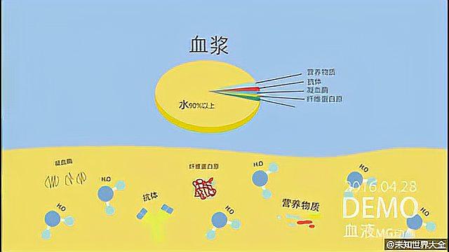 [图]医学科普动画：3分钟看懂血液中的各种成分！