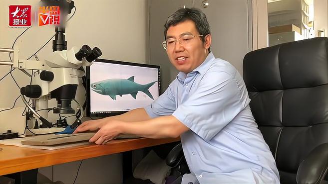 半岛V视|大眼鱼:认识一下,我叫“张氏翼鳕”!云南发现2.44亿年前古鱼化石,这名字有深意