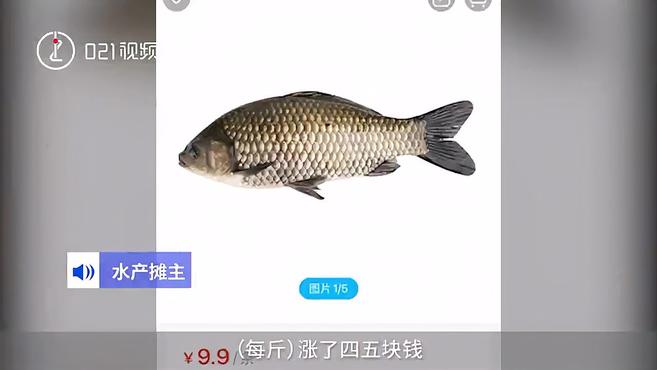 年后淡水鱼价格上涨:鲫鱼价格比年初每斤上涨4-5元