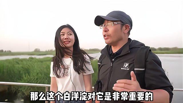 [图]探南水北调 解水网密码｜“小欣刘叔带你看水脉”之雄安白洋淀篇