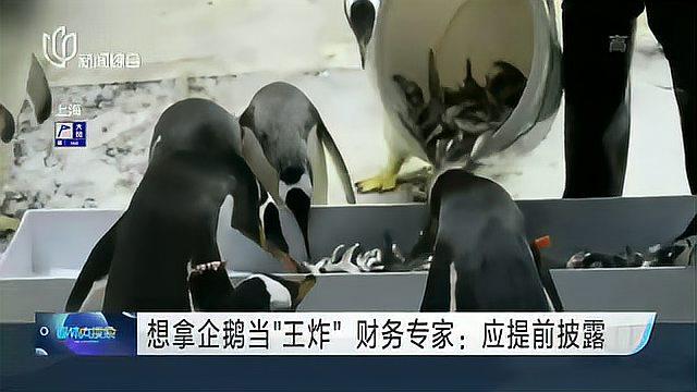 大连圣亚第四季度营收陡增遭质疑
