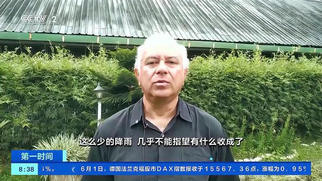 干旱叠加疫情!印度茶叶价格上涨 阿萨姆邦茶农却无茶可采……