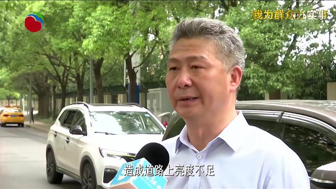 夜间出行光明陪护 高逸路、化成路、海江四路路灯升级展新颜