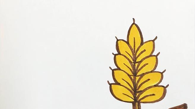 儿歌多多儿童简笔画 小麦 芒种节气 收获金灿灿的小麦