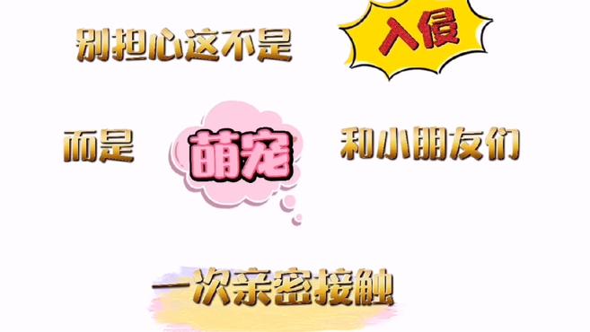 “萌宠”进校园&nbsp; 呼唤环境保护