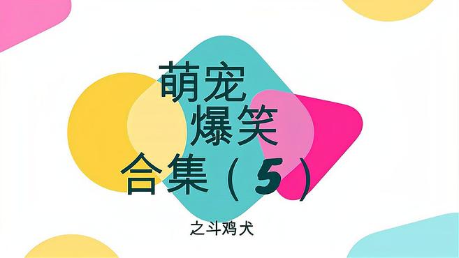 萌宠爆笑合集(5)之斗鸡犬!