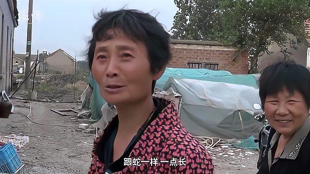 村民捕到“长脚怪鱼”忙报警,警方:是娃娃鱼,需放生