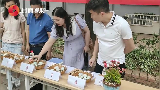 蛋体彩绘画党史 四川自贡自流井富台山社区开展庆端午学史明志创意趣味大赛