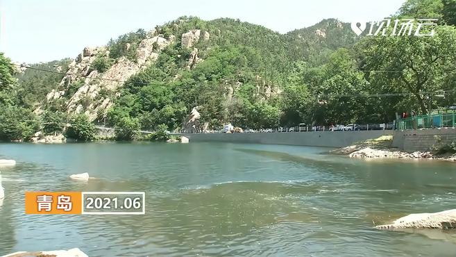 回家!1.5万尾“崂山仙胎鱼”回归大自然