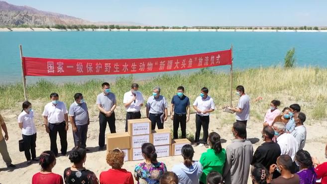 3亿年前新疆土著鱼“水中大熊猫”添新丁,增殖放流鱼苗5万尾