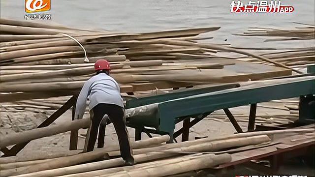 「温视频」紫菜养殖应用新材料 生态经济效益双显现