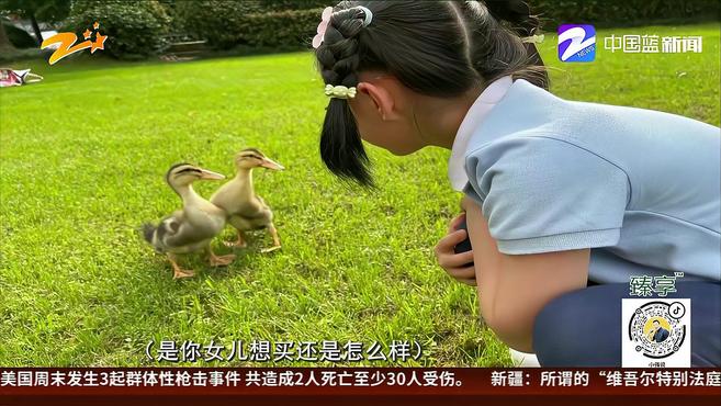 买“鸳鸯”如何变鸭子?(上):王先生——买了一对“鸳鸯” 长成两只鸭子